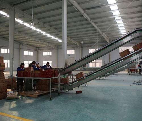 Three-dimensional conveying
